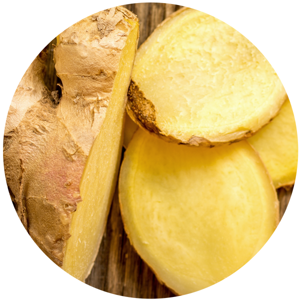 Ginger