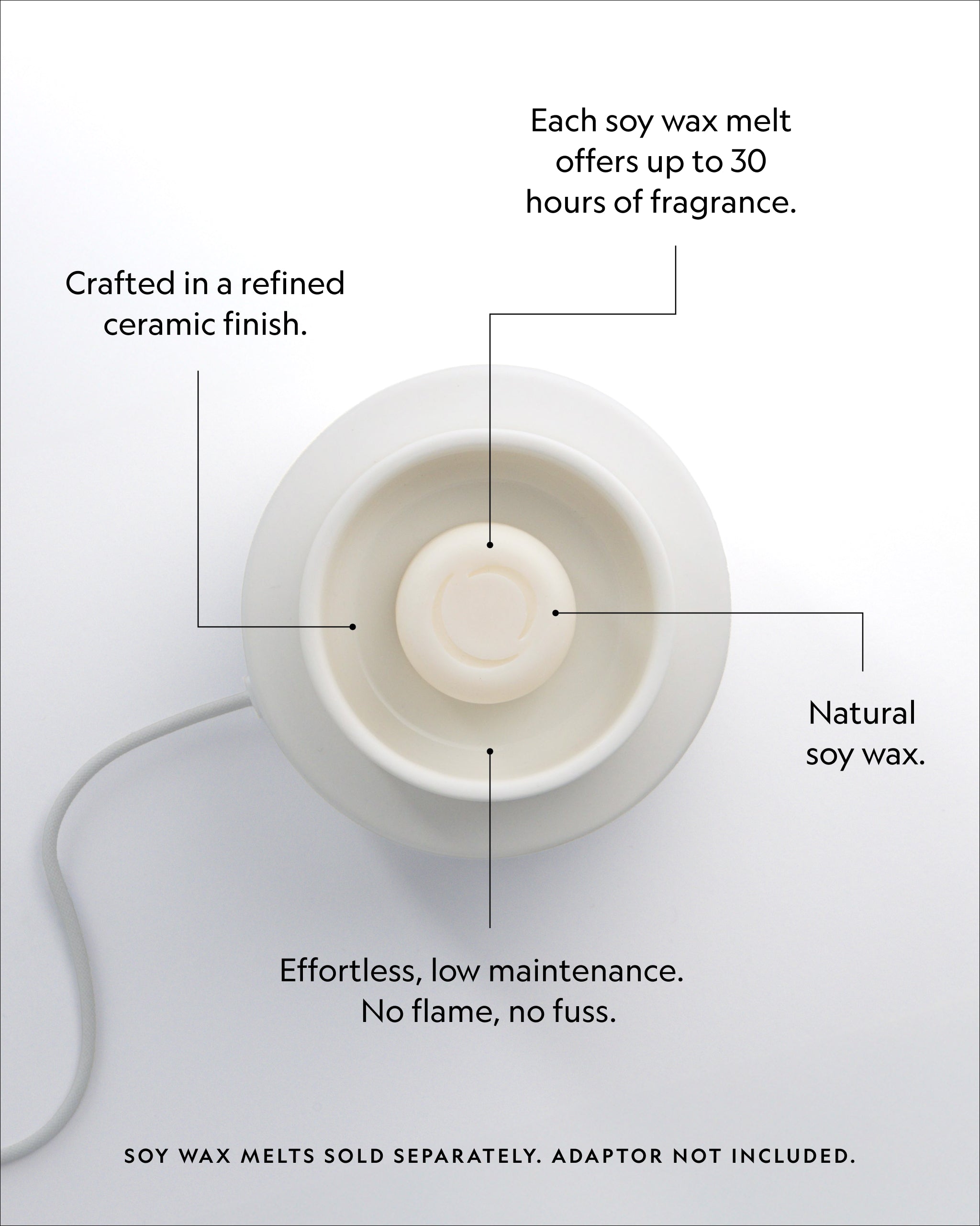 Electric Wax Melter
