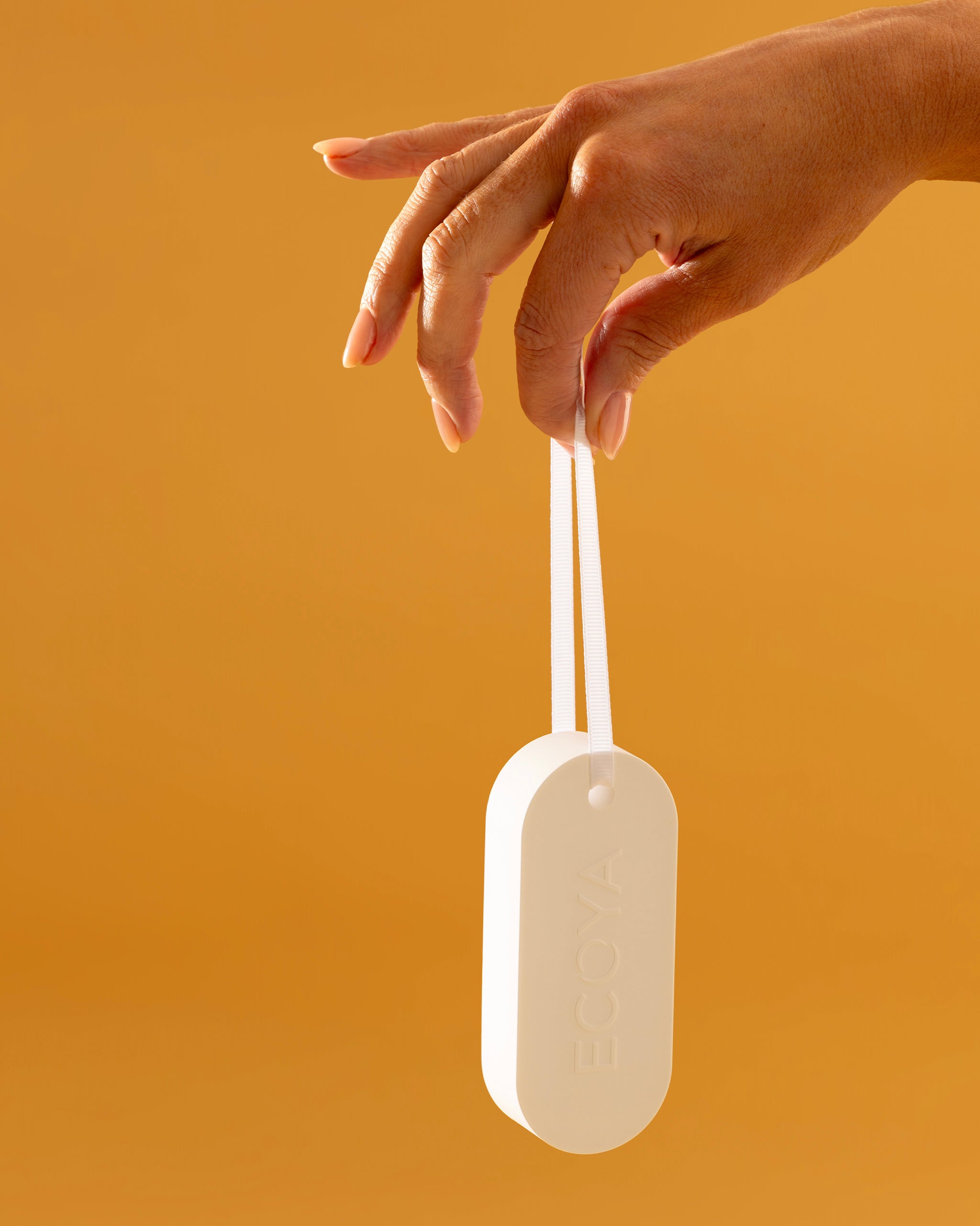 Holiday: Festive Fragrance Duo Fresh Pine