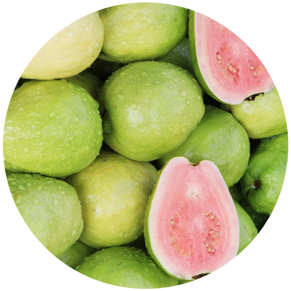 Guava