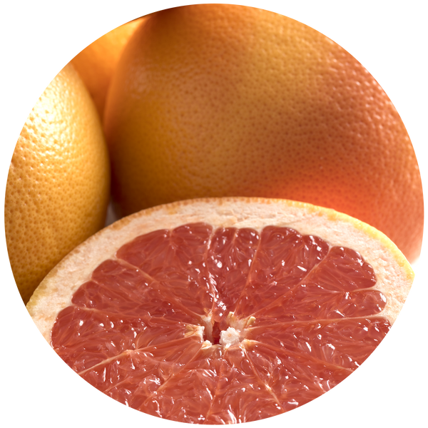 Grapefruit