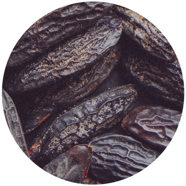 Tonka Bean