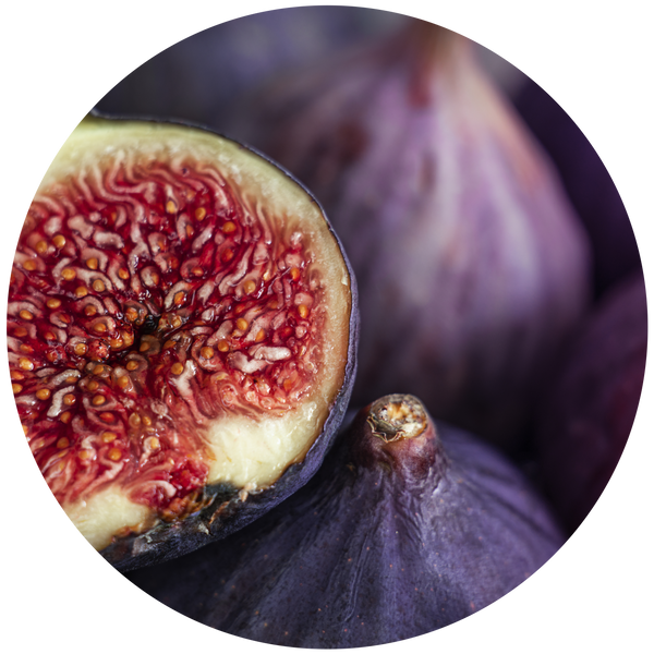 Fig