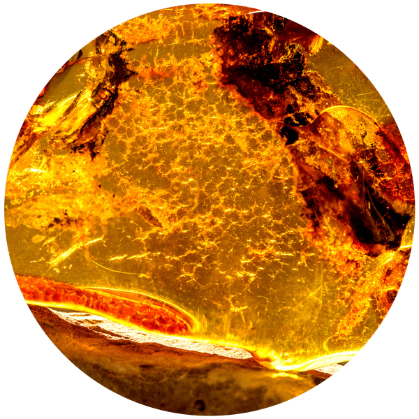 Amber