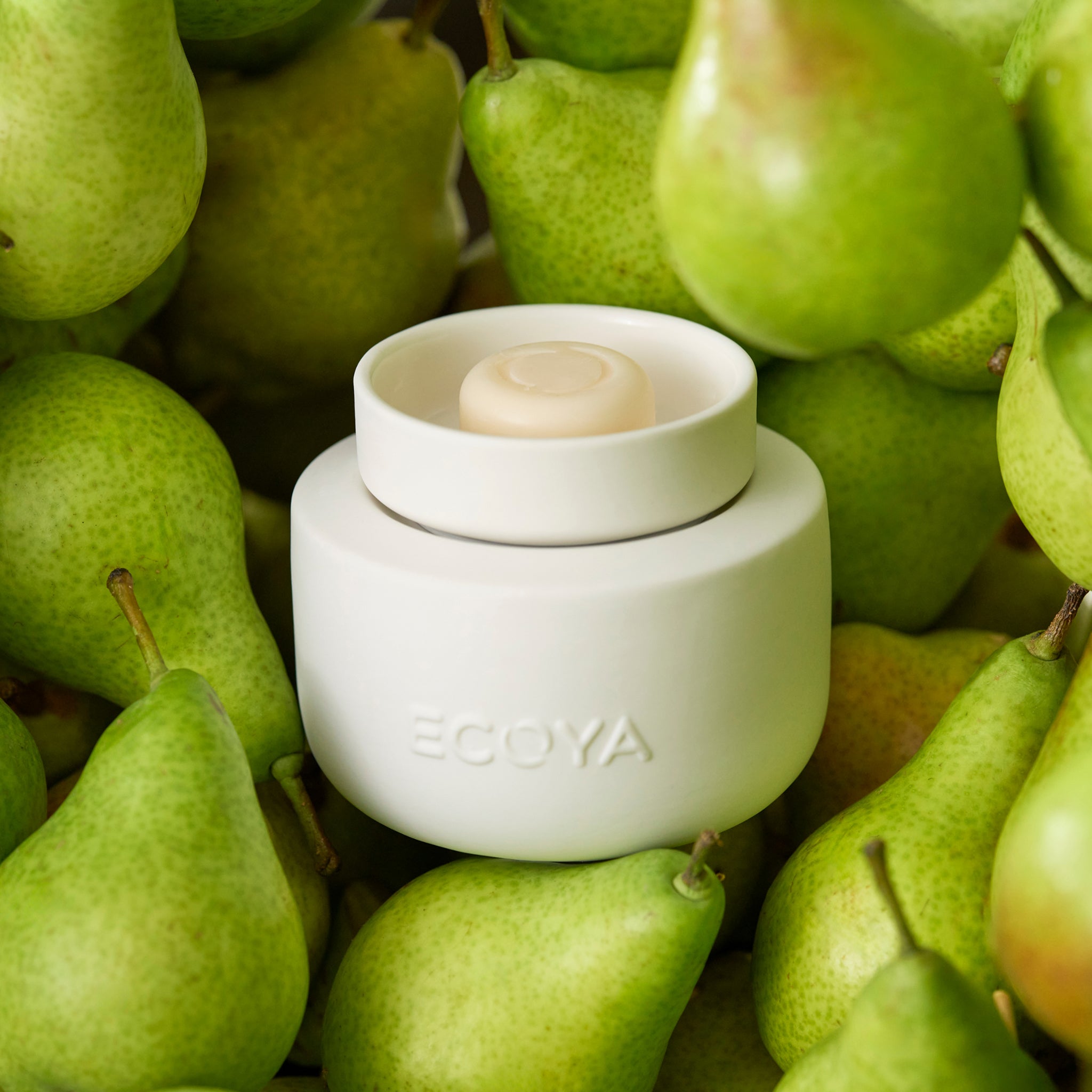 How to use the Electric Wax Melter