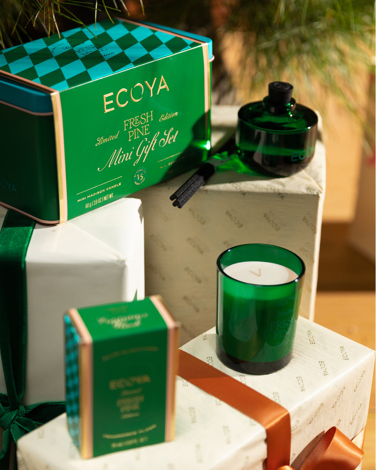 Fresh Pine Mini Gift Set