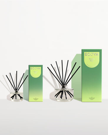 Large & Mini Diffuser Duo
