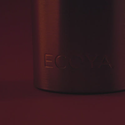 ecoya video of holiday collection