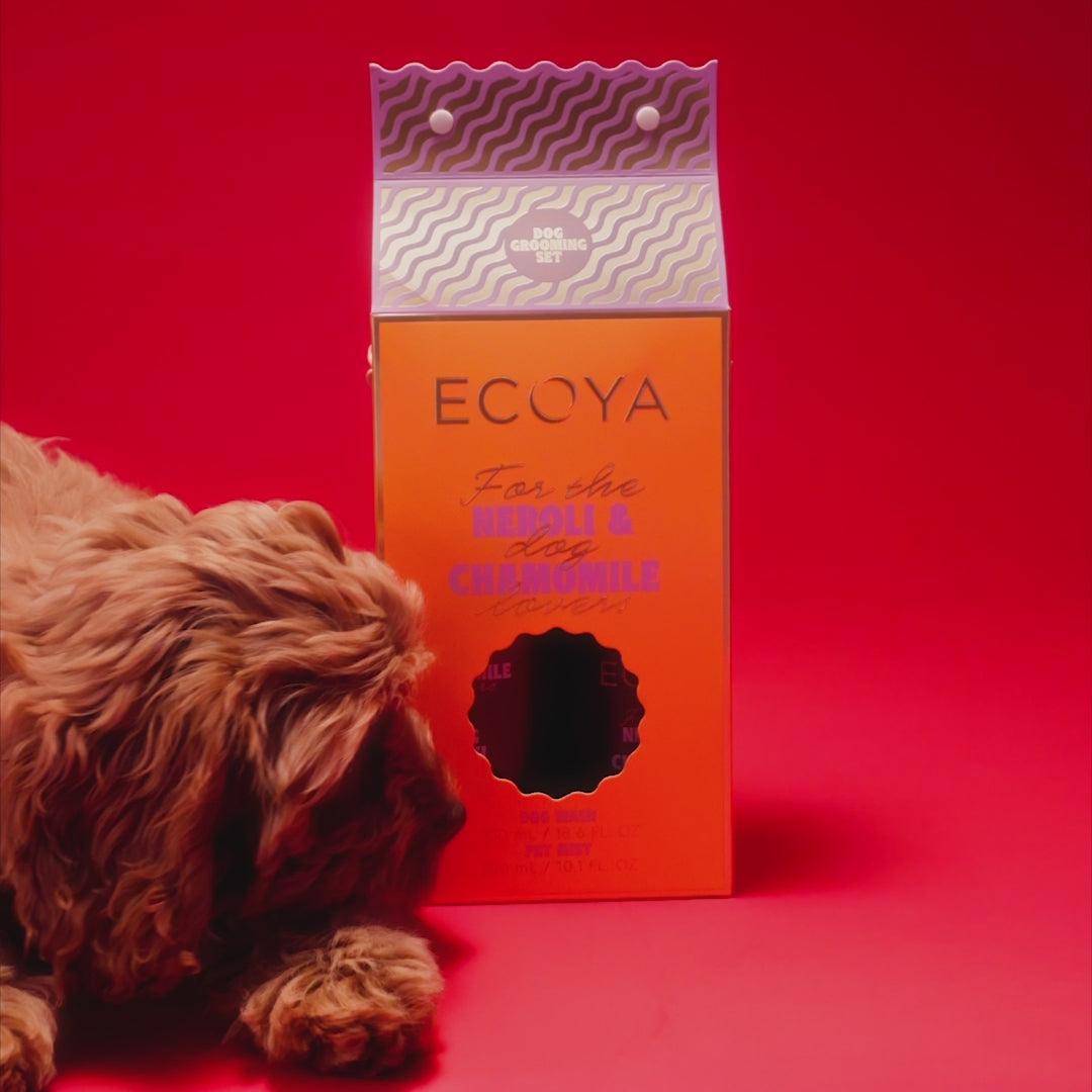 cute dog video with ecoya grooming set